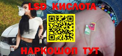 ГАЛЛЮЦИНОГЕННЫЕ ГРИБЫ Камышлов