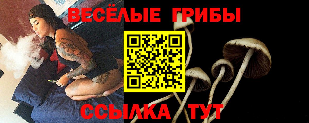 Галлюциногенные грибы MAGIC MUSHROOMS  Вход с VPN  Заводоуковск 