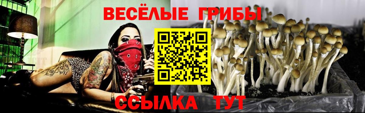 Галлюциногенные грибы MAGIC MUSHROOMS Заводоуковск